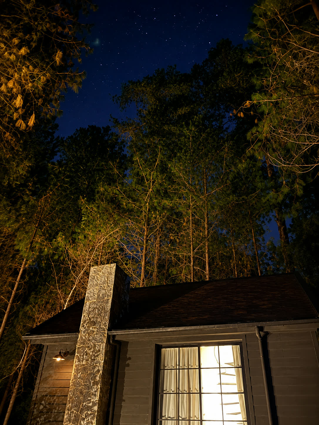 Céu estrelado sobre a Farm House, entre os pinheiros