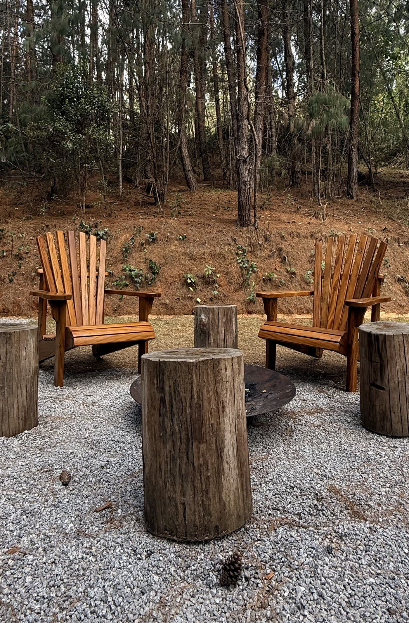 Cadeiras de madeira e bancos de tronco em volta do firepit, com o bosque ao fundo